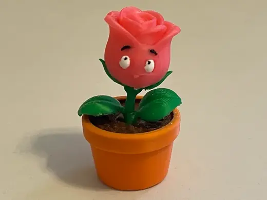 Fun Little Plant Baby Rose