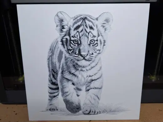 Black and white - Tiger cub - 2 colours - hueforge