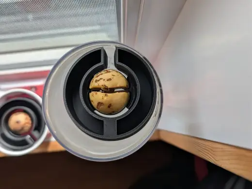 Avocado Buddy – Floating Germination Ring