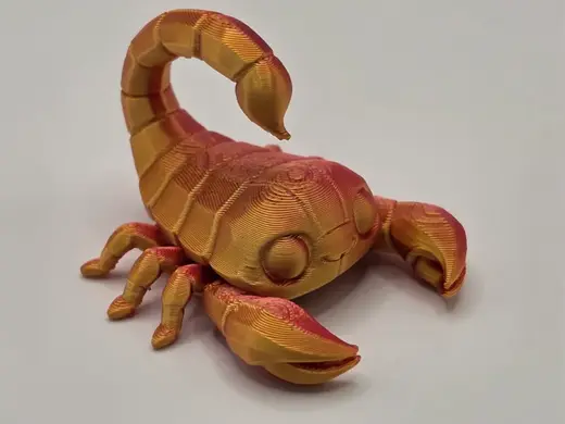 Baby Scorpion – Cute Desert Scorpion