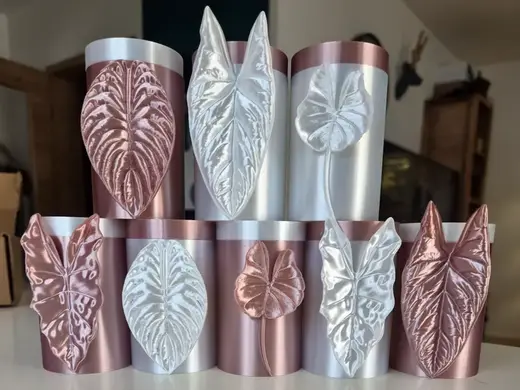 Alocasia Mini Topf Set zur Pflanzen Anzucht Set 4