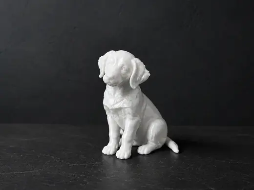 Golden Retriever - Puppy - Animal - Dog - Decor