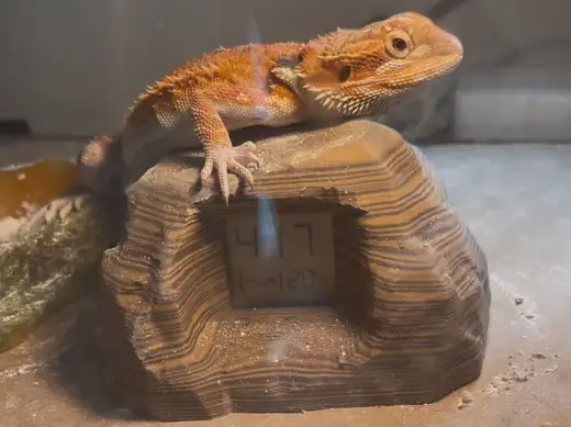 米家蓝牙温度计2石头伪装爬宠缸内专用