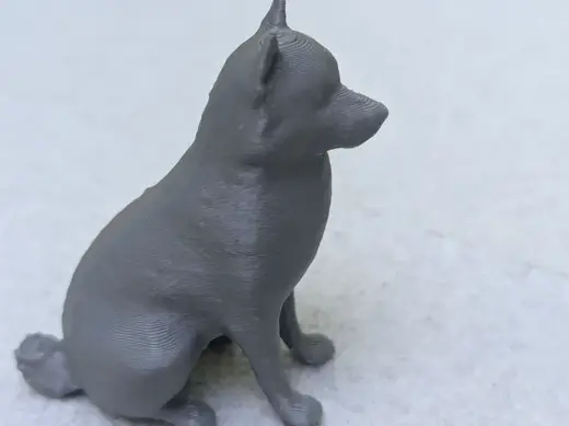 Husky Dog