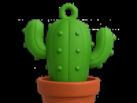 Portachiavi Cactus - NO AMS