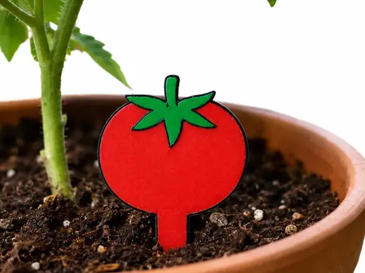Pflanzenschild - Tomate