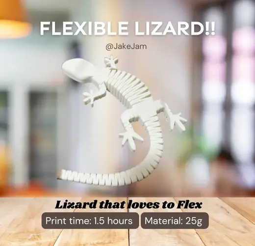 Flexible Lizard