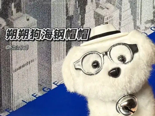 小狗帽帽——海上钢琴师款