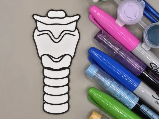 Laryngx Throat Coloring Craft Anatomy