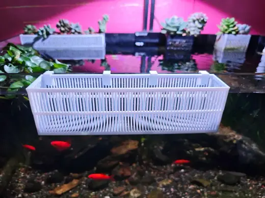 8MM玻璃鱼缸定植篮\植物挂篮\水培篮\种植篮\水培篮.3mf