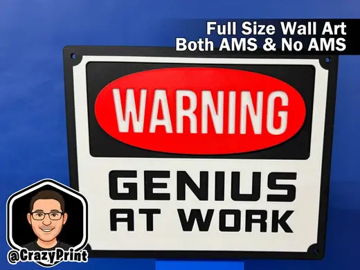 GENIUS AT WORK Funny Sign / Wall Art -No AMS