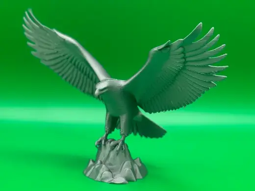 Majestic Eagle on Rock