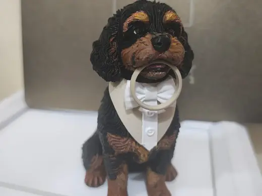 Pet casamento