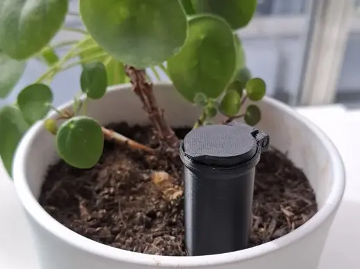 Plant Irrigation Tube with Lid