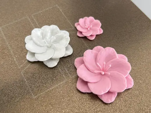 Cherry Blossom Flower