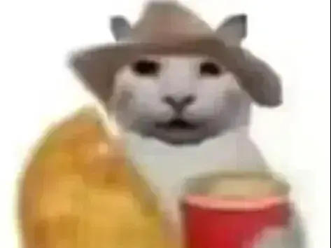 没经济没建模猫