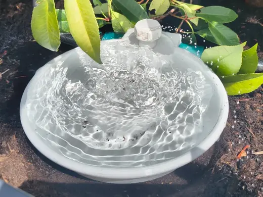Self-Watering Bird Bath for Garden Hose