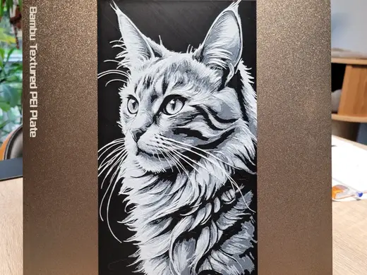 Maine Coon - Cat Hueforge - Black White - 132x235