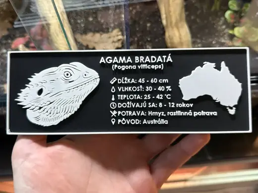 Terrarium label - Bearded Dragon (English)