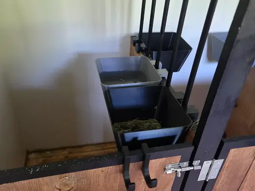 Feed bucket Hobby horsing