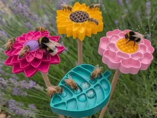 Insektentränke - Blumen Kollektion