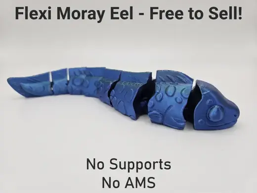 Flexi Moray Eel - No AMS / Support - Free to Sell!