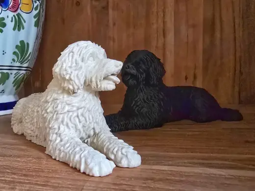 Cute Labradoodle - lying pose - dog - 30 gram