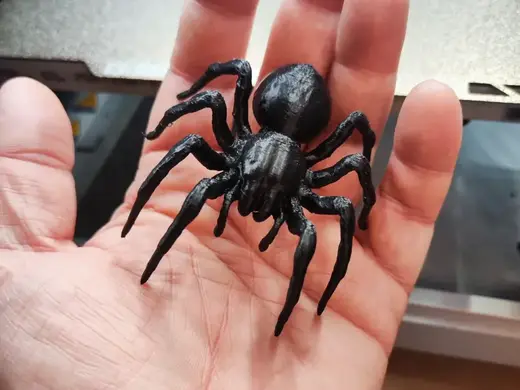 Realistic Tarantula spider
