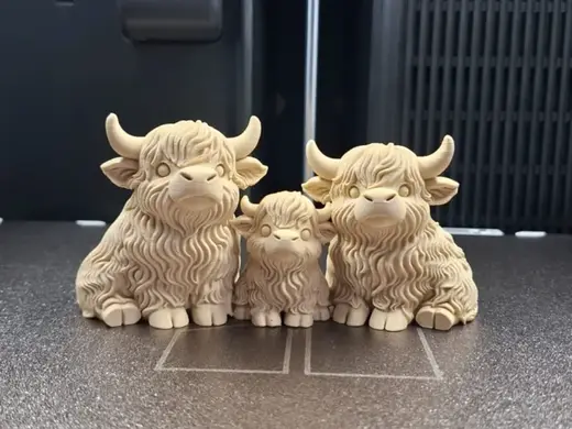 Highland Cow Family – Mom, Dad & Calf