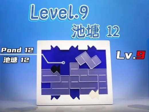 谜题puzzle池塘12(浅香游设计)-Pond 12(Disigned by Yuu Asaka)
