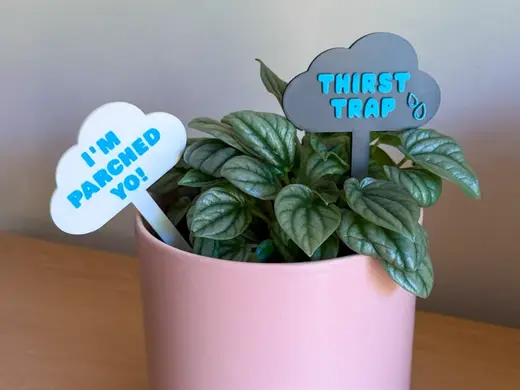 3 Types of Thirsty Plant Stakes