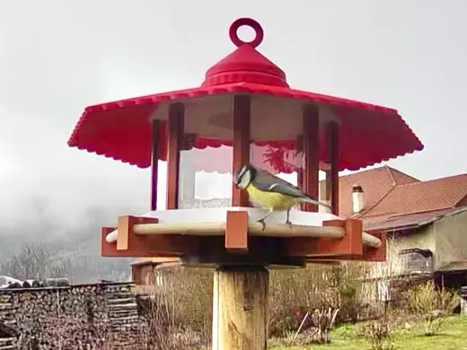 Mangeoire pour Oiseaux Octogonale