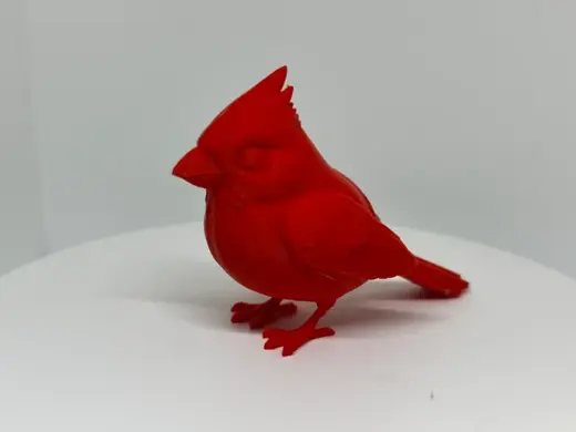 Cardinal Standing (Detailed Bird)