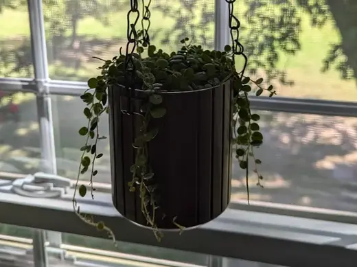 Hanging Planter w/ Drip Tray