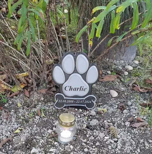Tombstone for best friend