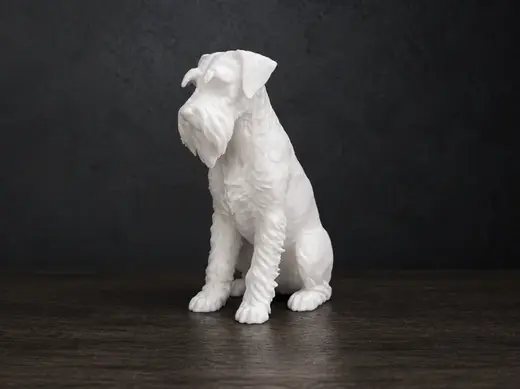Schnauzer - Dog - Animal