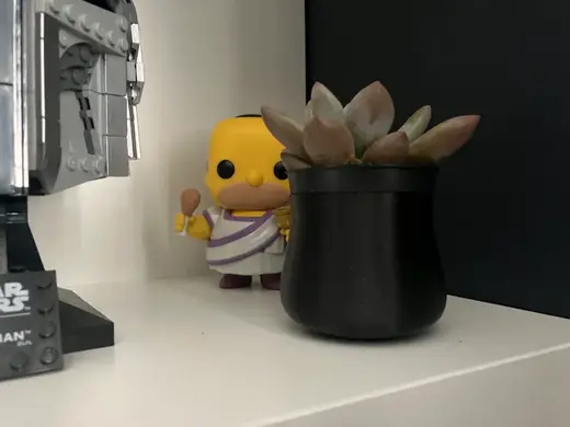 small sucullent/cactus vase