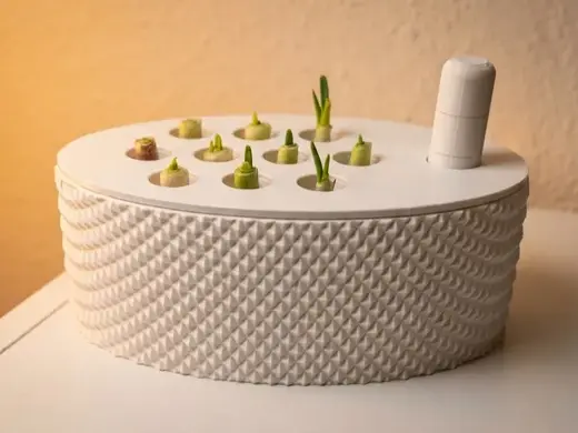 The Ultimate Spring Onion Regrow Station