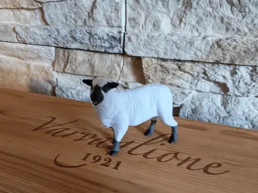 Realist Sheep with Black Head - Schleich Inspired