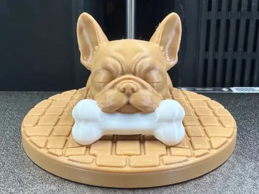 Französische Bulldogge beim Träumen