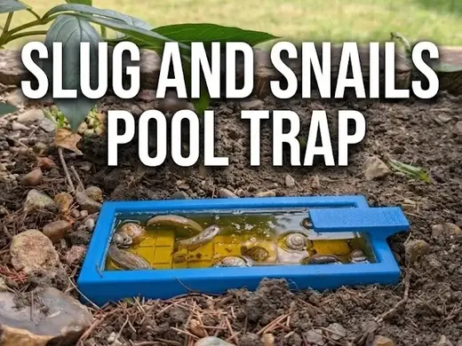 Snail & Slug Swimming Pool Beer Trap Garden