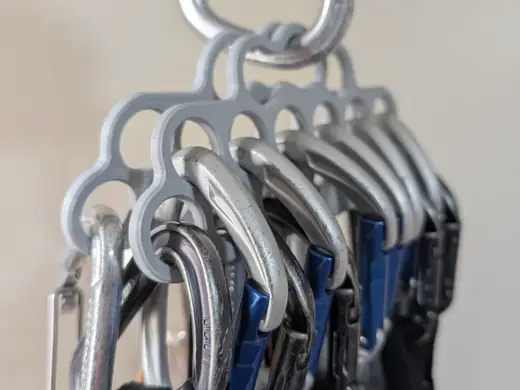 Rock climbing quickdraw organizer