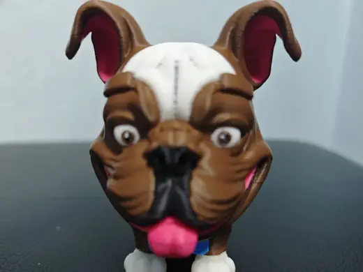 Playful, cute English Bulldog