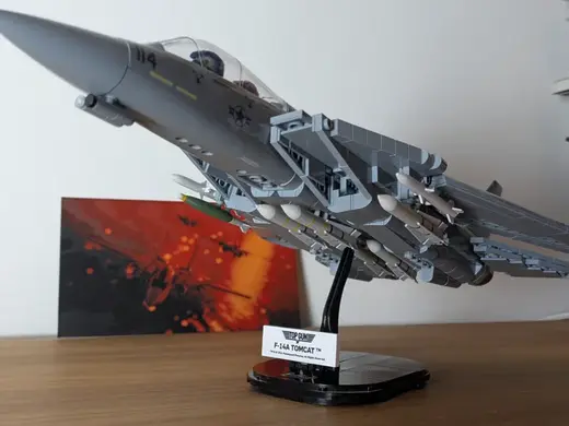 Aim 54 Phoenix for Cobi Jets