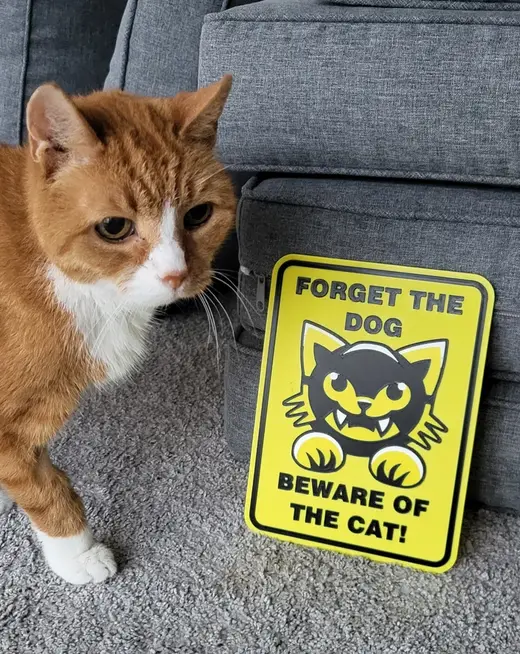 Beware of cat sign