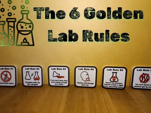 The 6 Golden Lab Rules
