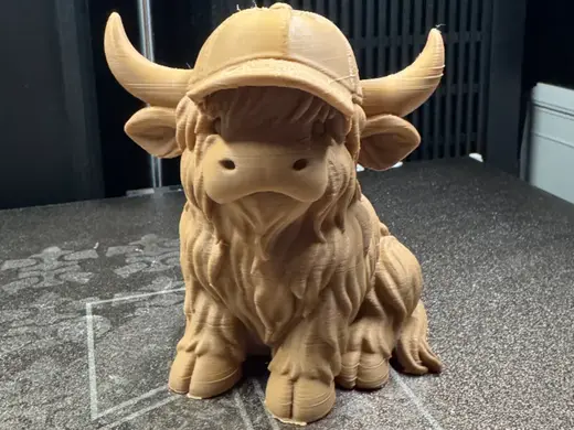 Hochlandrind mit Kappe