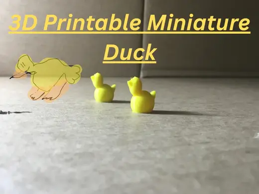 Miniature Duck