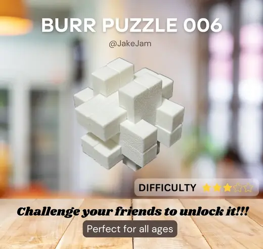 BurrPuzzle 006_12 Bars Trap
