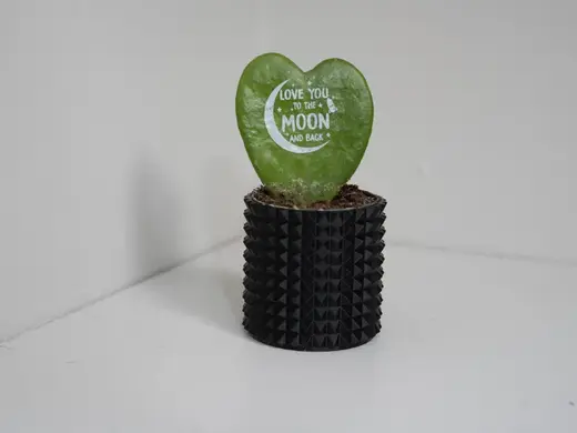 Mini Plant Pot (2.5inches)